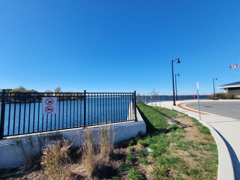Medallion Fence photo 9
