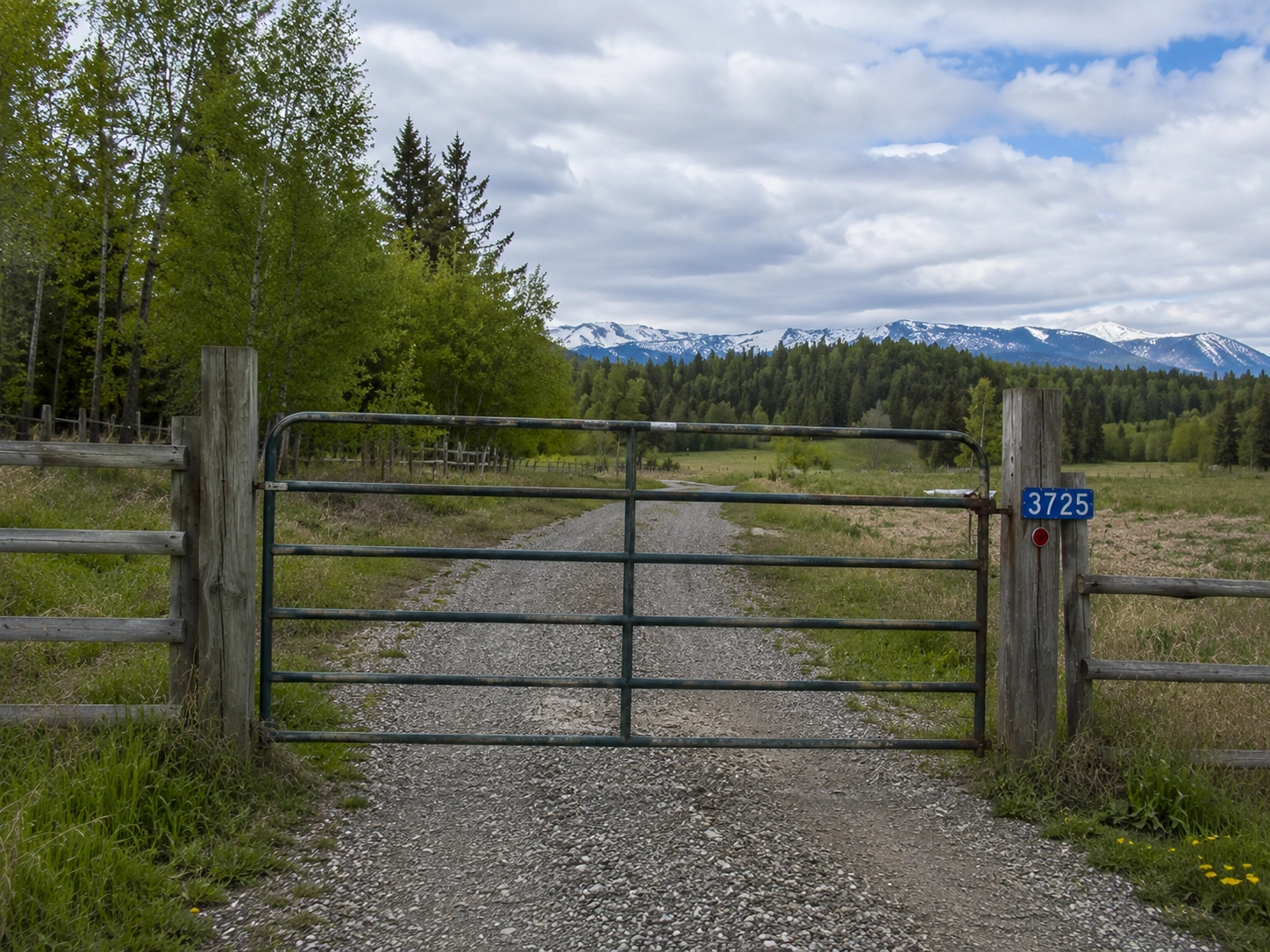 Stylish aluminium or composite fencing options for Canadian properties